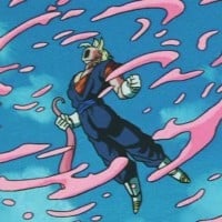 Vegito vs. Super Buu