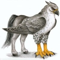 Hippogriff