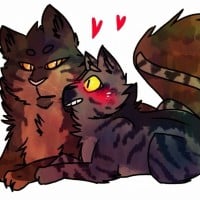 Darkstripe having a crush on Tigerstar
