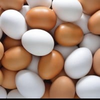 Eggs