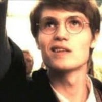 Lily Potter and James Potter