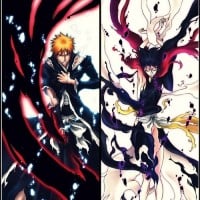Kurosaki Ichigo & Kuchiki Rukia - Bleach