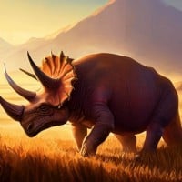 Triceratops