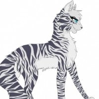 Rainflower: rejecting Stormkit