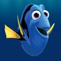 Dory