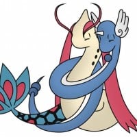 Milotic & Dragonair