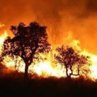 Pyrophobia - fear of fire