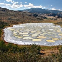 Spotted Lake
