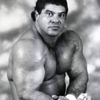 Don Muraco