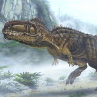 Giganotosaurus Carolinii