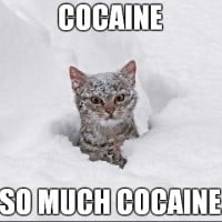 Cocaine (Crack)