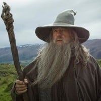 Gandalf the Grey