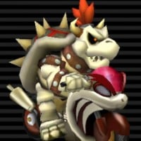 Dry Bowser + Flame Runner