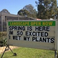 Spring is coming! I'm so excited I wet my plants.