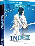 A Certain Magical Index