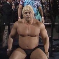 Dino Bravo