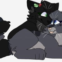 Hollyleaf x Cinderheart