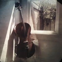 Cello