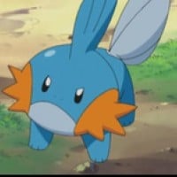Mudkip