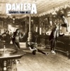 Cemetery Gates - Pantera