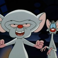 Pinky and the Brain
