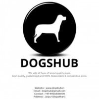 Dogshub