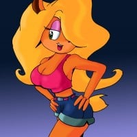 Tawna Bandicoot - Crash Bandicoot