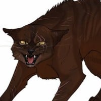 Clawface - Killed Spottedleaf the first time