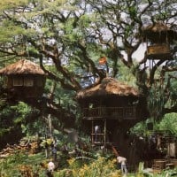 Swiss Family Christmas Treehouse (Magic Kingdom)