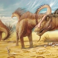 Amargasaurus