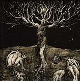 A Drop of Light - All Traps on Earth