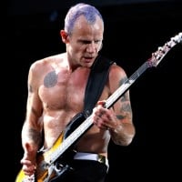 Flea