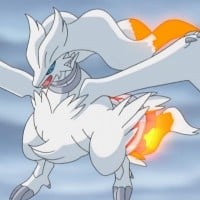 Reshiram