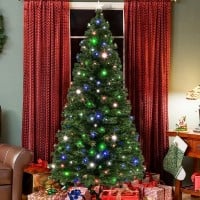 Multiple Christmas Trees