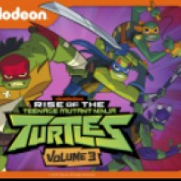 Rise of the Teenage Mutant Ninja Turtles
