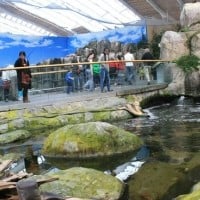 Biodome de Montreal