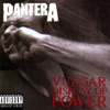 F****** Hostile - Pantera