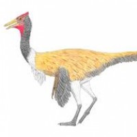 Pelecanimimus