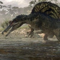 Oxalaia Quilombensis