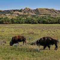 Theodore Roosevelt National Park (North Dakota)