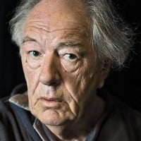 Michael Gambon - Albus Dumbledore