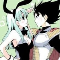 Vegeta x Bulma - Dragon Ball Z