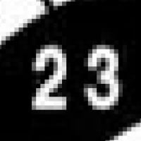 23