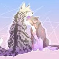 Tawnypelt x Feathertail