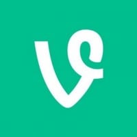 Vine