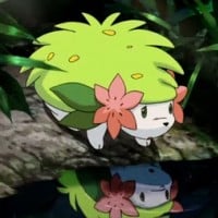 Shaymin