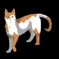 Fallen Leaves being older than the Clans and not fading