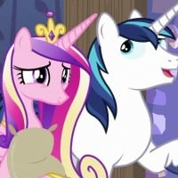 Shining Armor and Cadence