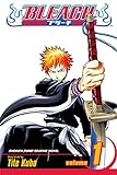 Bleach