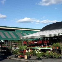 Jean-Talon Market
